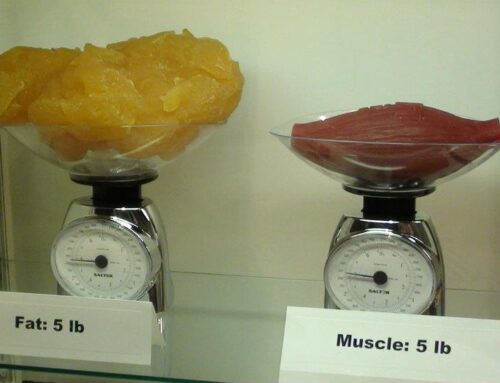 Why do you need to differentiate between muscle and fat?